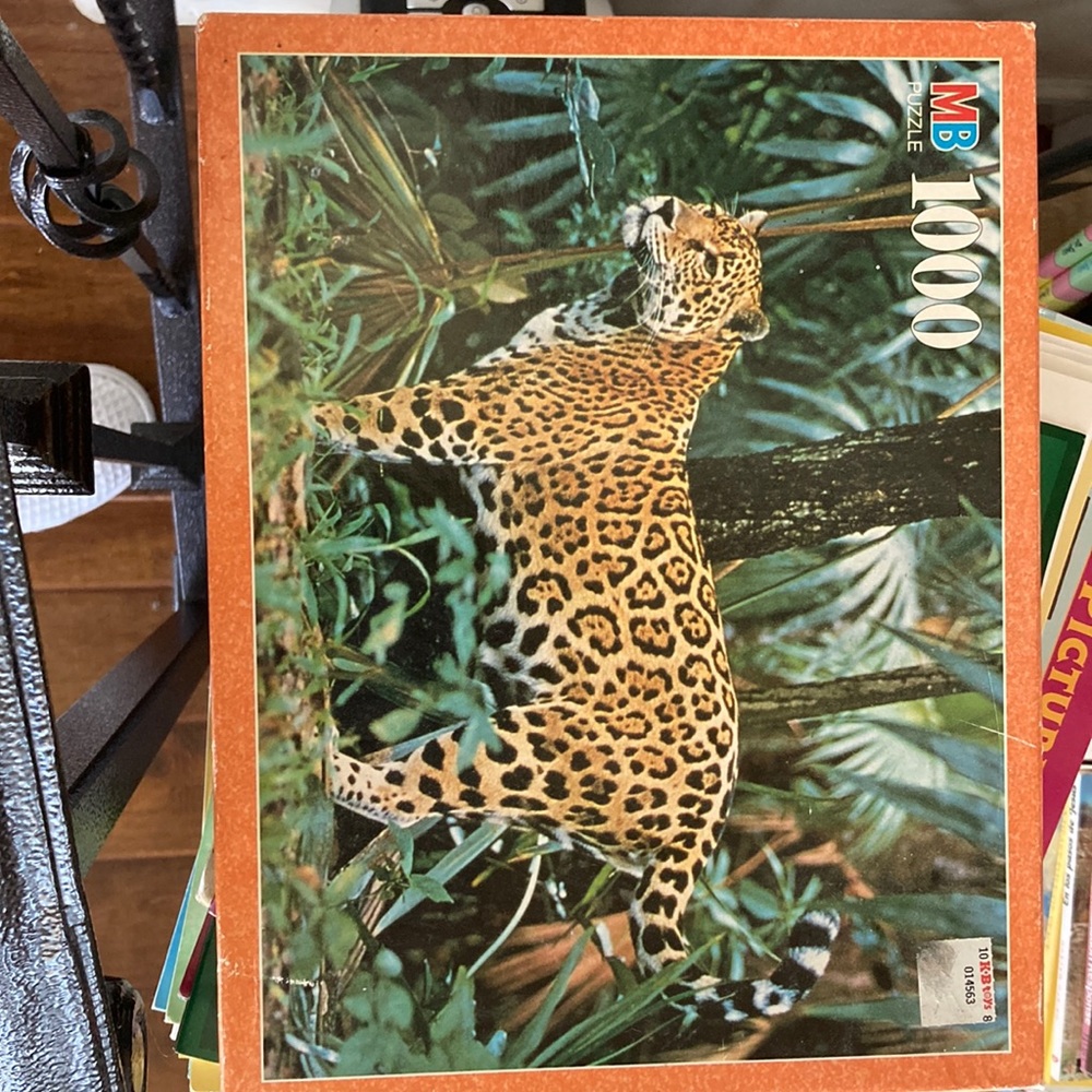 1000 Puzzle